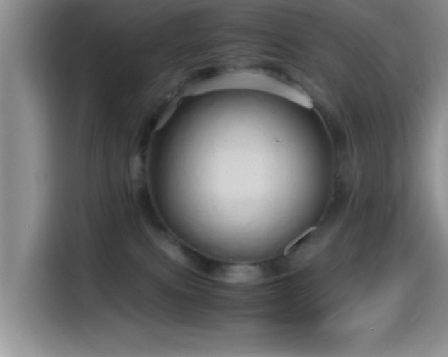 X0000114560087200910191440