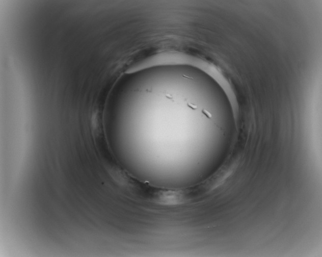 X0000114560088200910191440