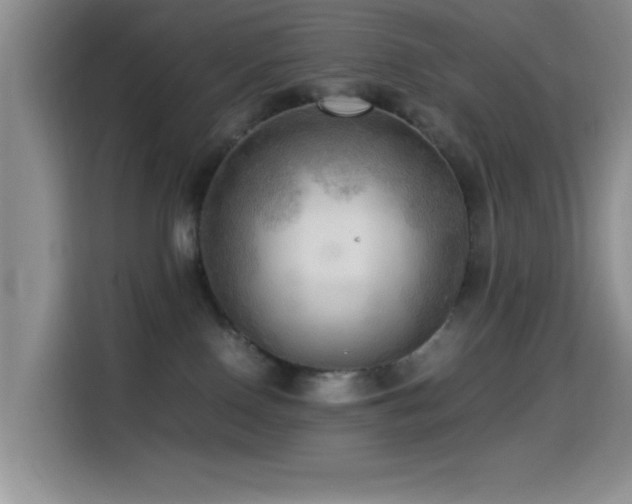 X0000114560090200910191440
