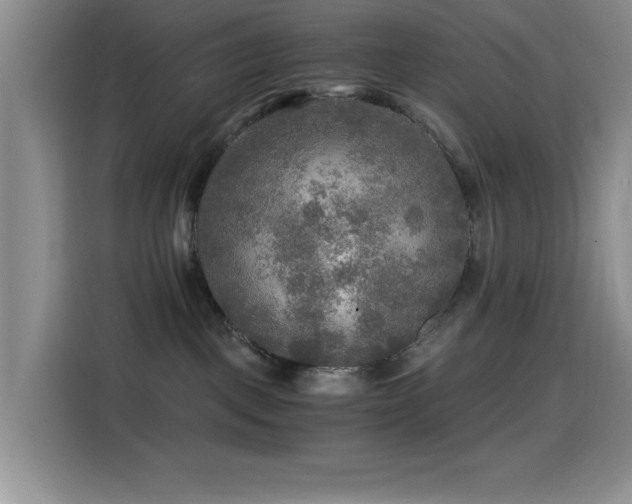 X0000114560093200910191440