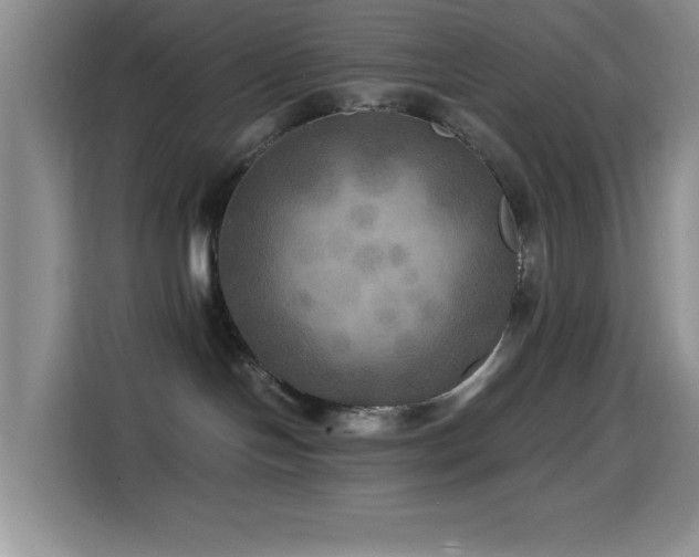 X0000114560094200910191440