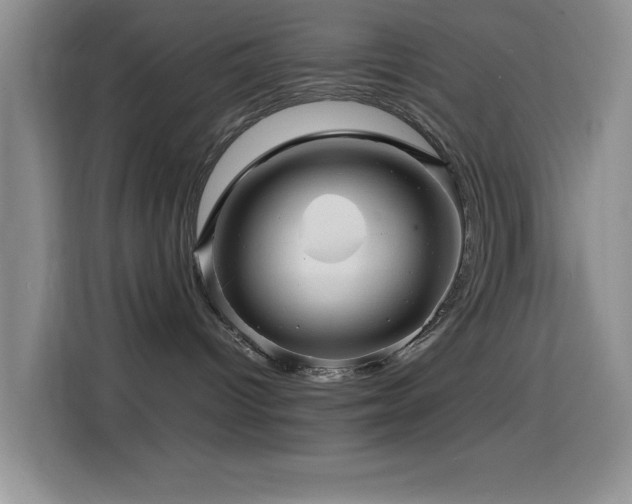 X0000114560096200910191440