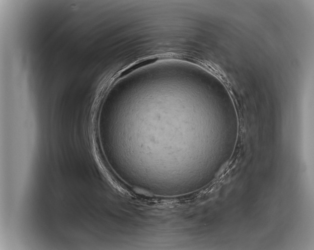 X0000114560097200910191439