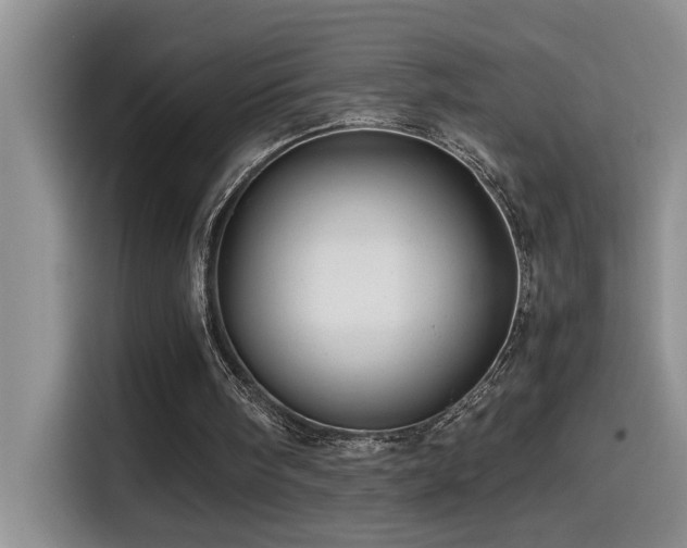 X0000114560098200910191439