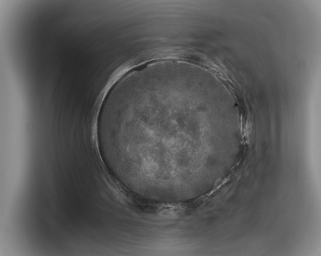 X0000114560099200910191439