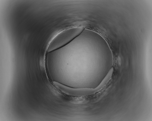X0000114560100200910191439