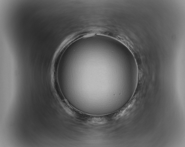 X0000114560101200910191439