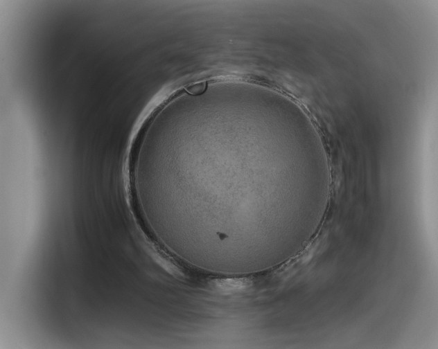 X0000114560102200910191439