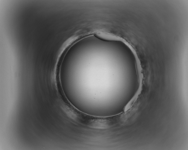 X0000114560104200910191439