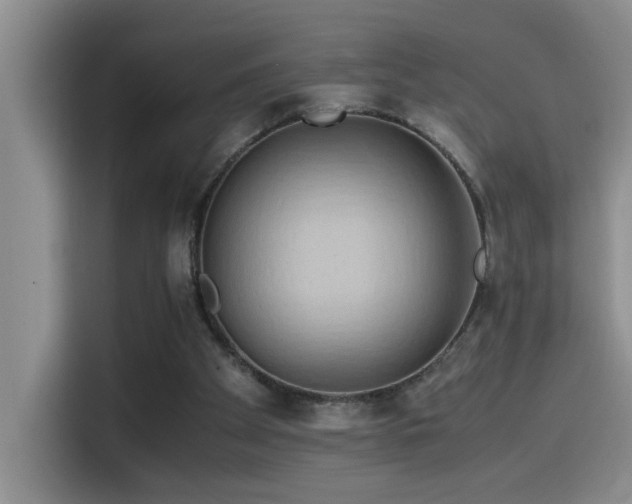 X0000114560105200910191439