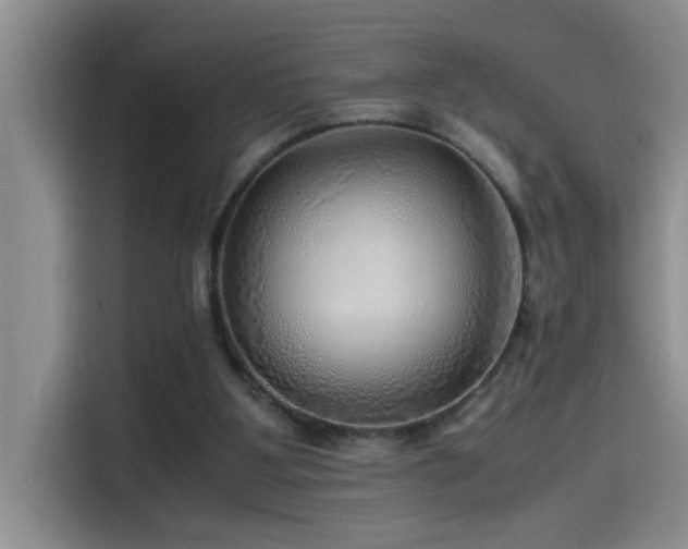 X0000114560107200910191439