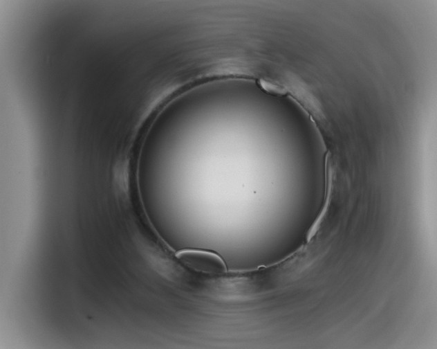 X0000114560108200910191439