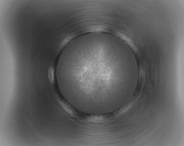 X0000114560110200910191439