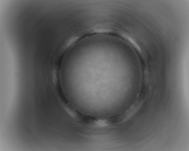 X0000114560114200910191439