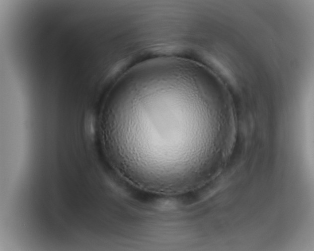 X0000114560115200910191439