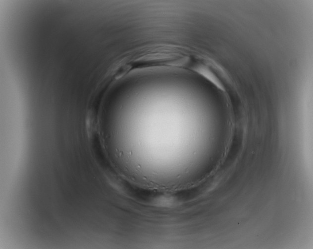 X0000114560119200910191439