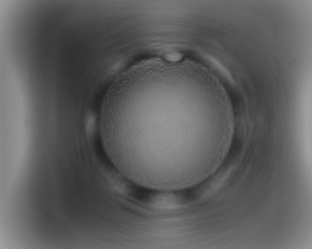 X0000114560123200910191439