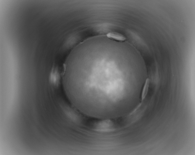 X0000114560124200910191439