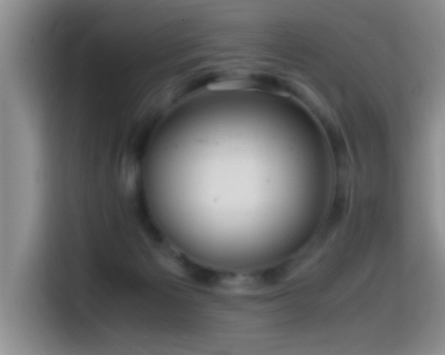 X0000114560125200910191439