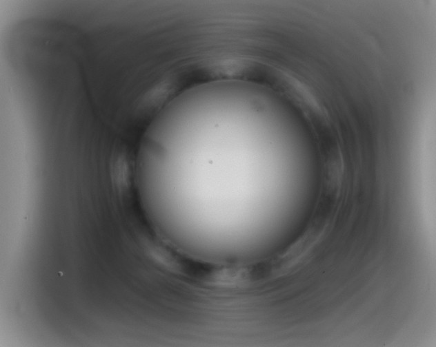 X0000114560126200910191439