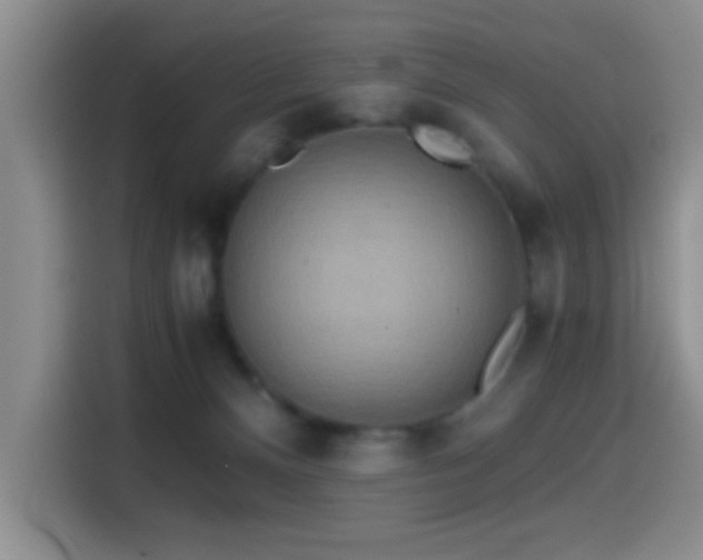 X0000114560128200910191439