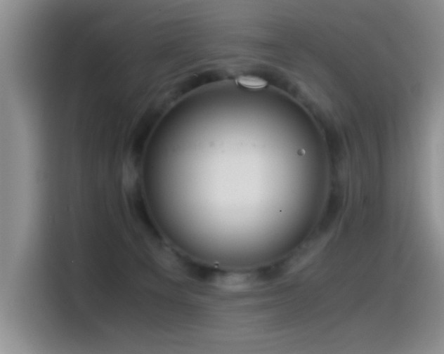 X0000114560129200910191439