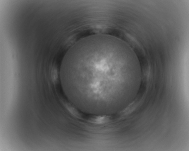 X0000114560130200910191439