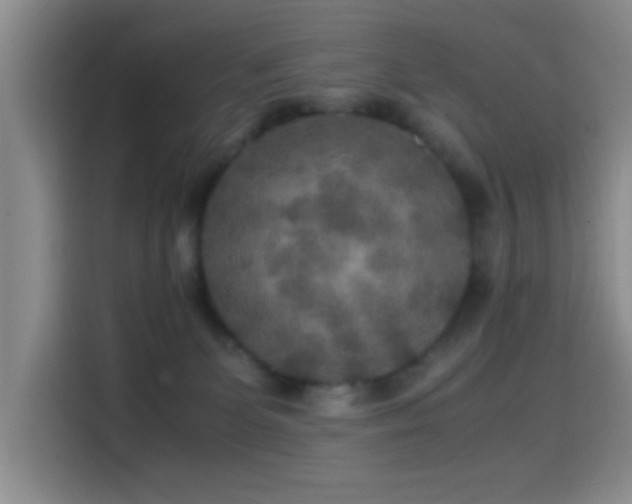 X0000114560131200910191439