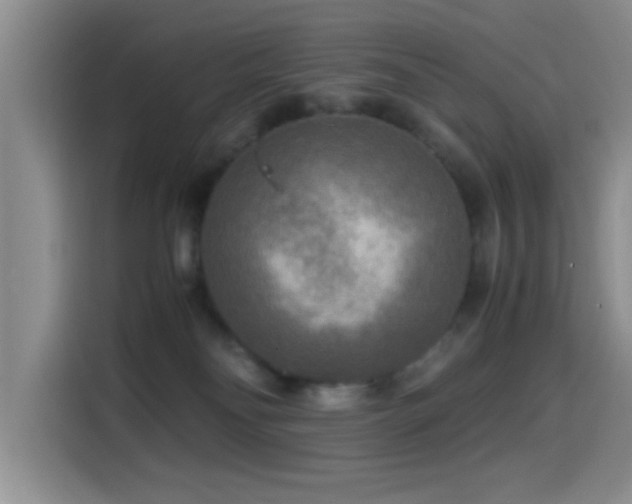 X0000114560134200910191439