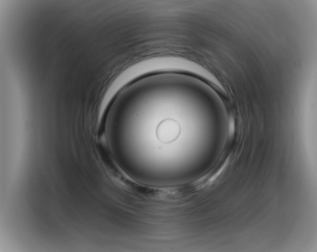 X0000114560136200910191439