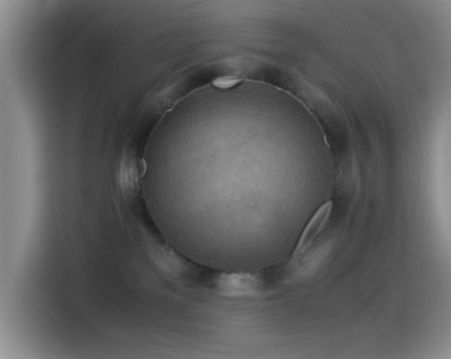 X0000114560137200910191439