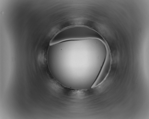 X0000114560140200910191439