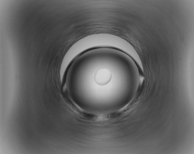 X0000114560141200910191439