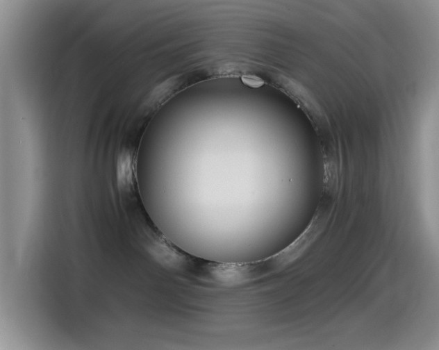 X0000114560142200910191439