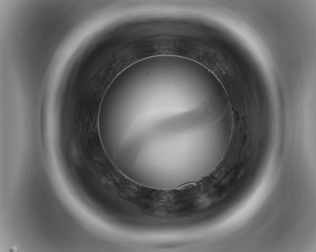 X0000114560143200910191439