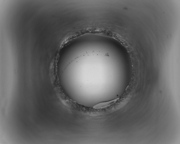 X0000114560144200910191439