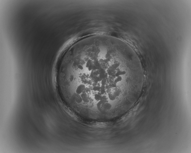 X0000114560149200910191438