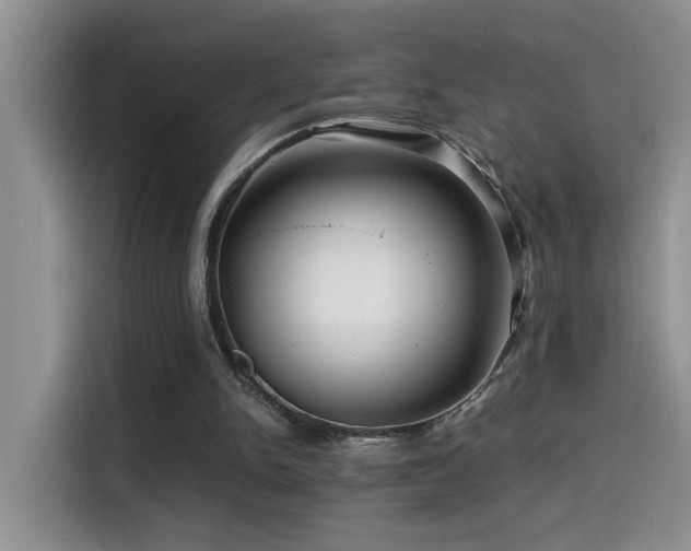 X0000114560150200910191438