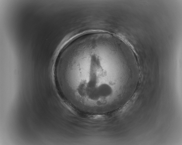 X0000114560151200910191438