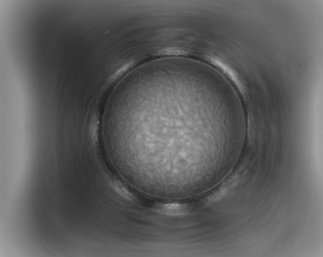 X0000114560153200910191438