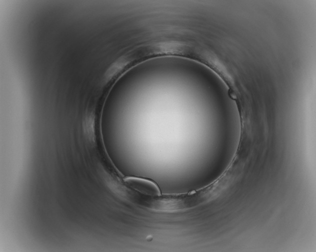 X0000114560154200910191438