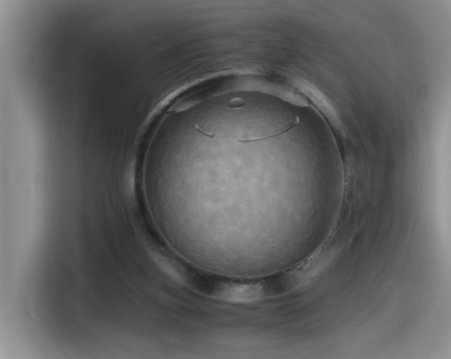 X0000114560155200910191438