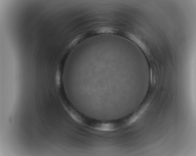 X0000114560157200910191438