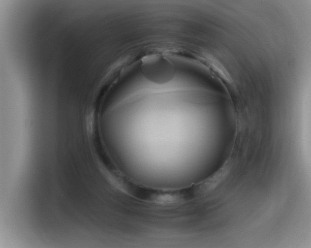 X0000114560163200910191438