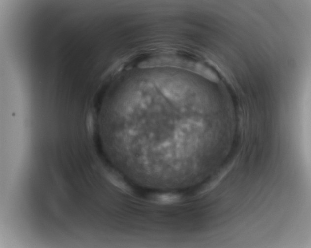 X0000114560165200910191438