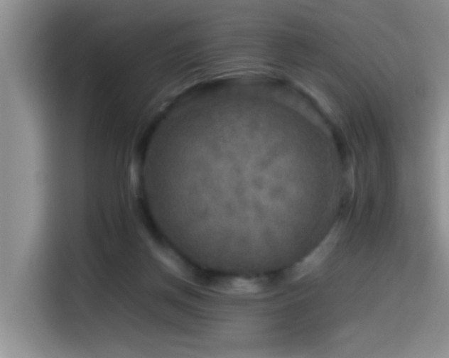 X0000114560166200910191438