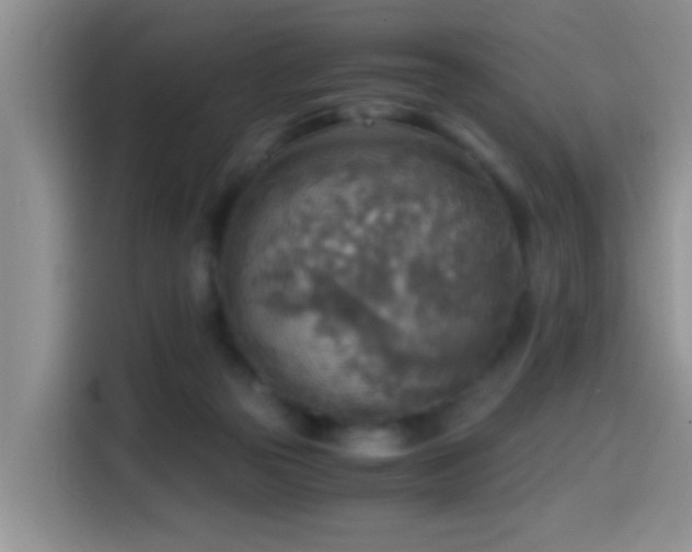 X0000114560169200910191438