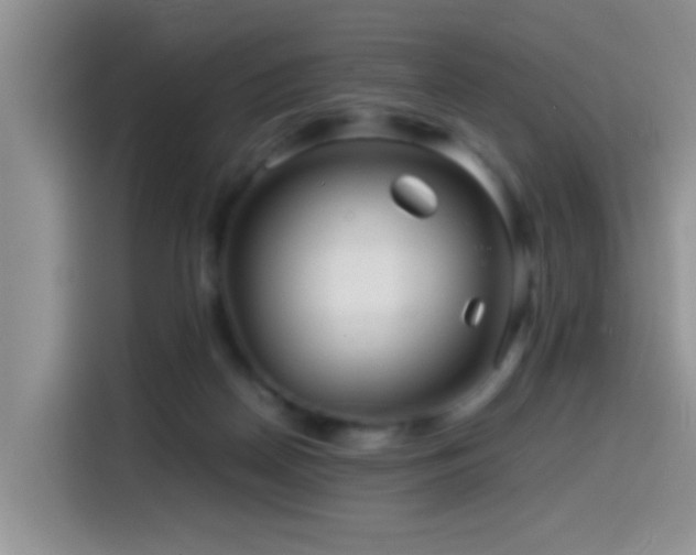 X0000114560170200910191438