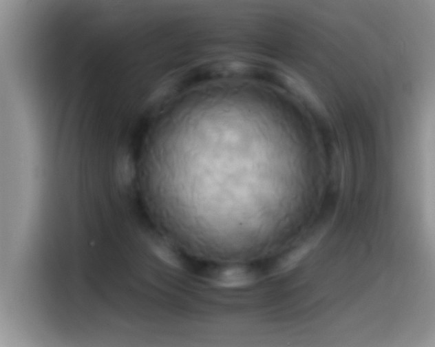 X0000114560173200910191438