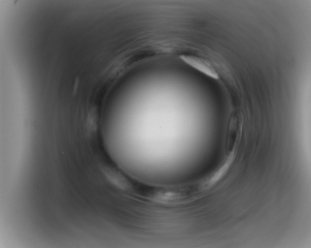 X0000114560174200910191438
